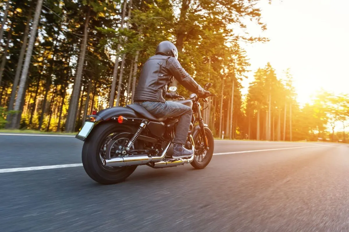 A rider on a motorcycle on a tree-lined road in the evening sun.